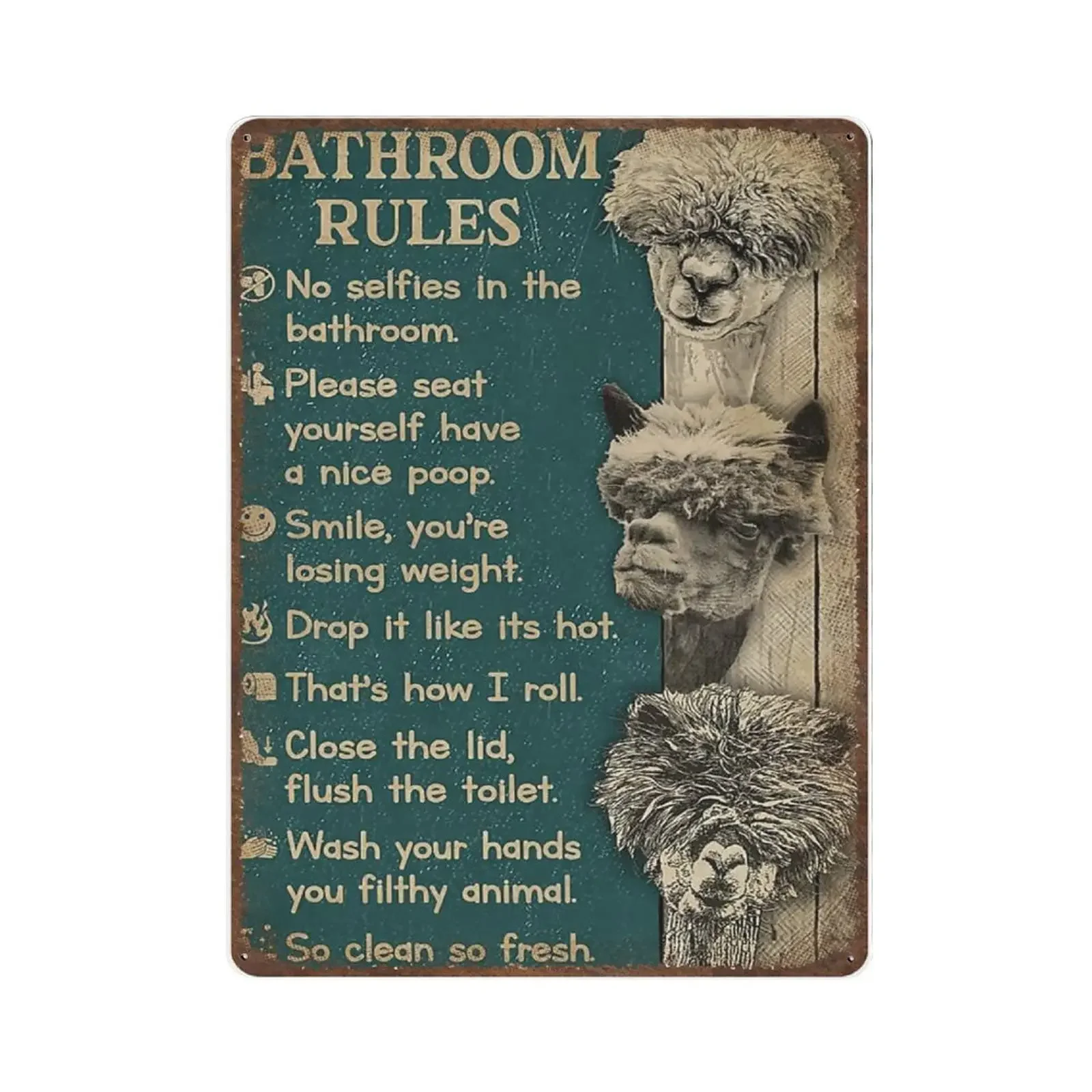 Vintage Metal Tin Sign Plaque, - Home Bathroom Rules 评论和价格