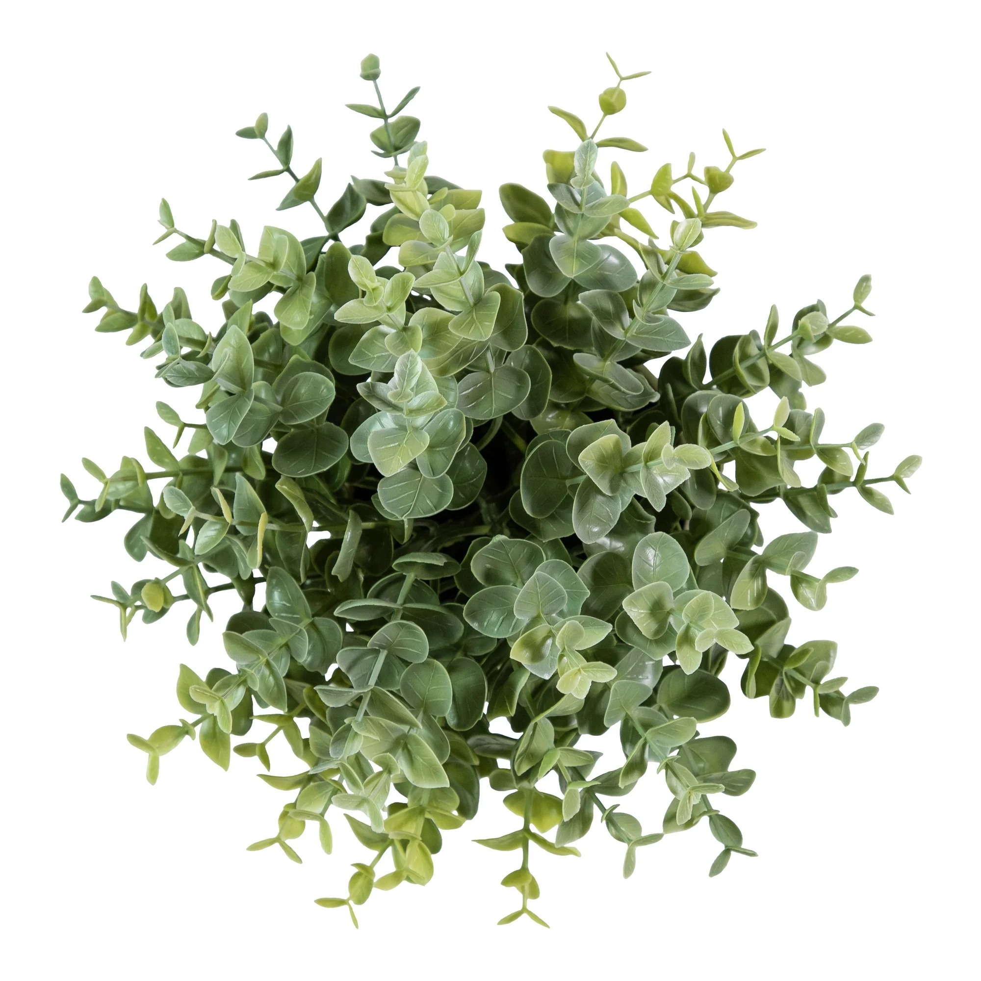Artificial Eucalyptus Plant in - Home Bathroom Shelf 评论和价格
